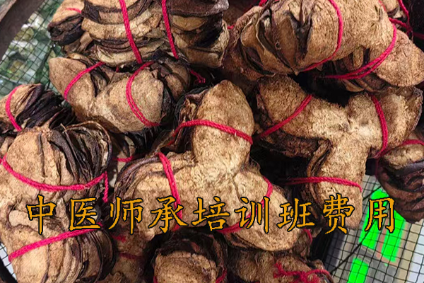 湛江中医师承培训班哪家好