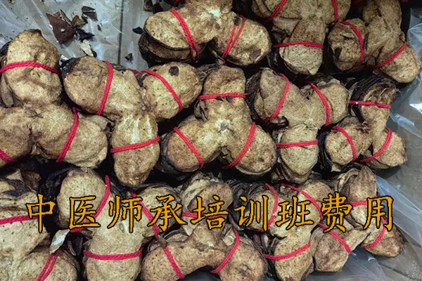 绵阳中医师承培训班费用多少