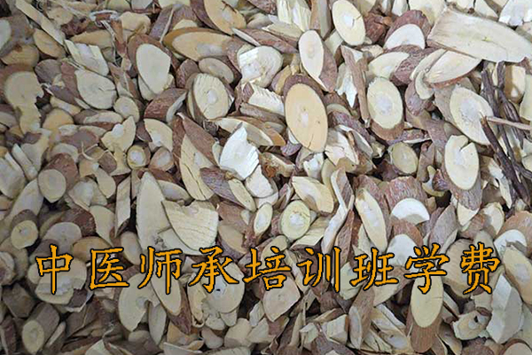 连云港中医师承培训班正规机构