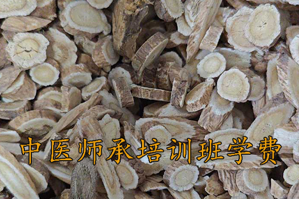 淄博中医师承培训班哪家好