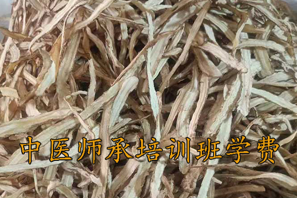 宜昌中医师承培训班费用多少