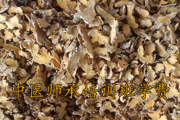 上饶中医师承培训班正规机构