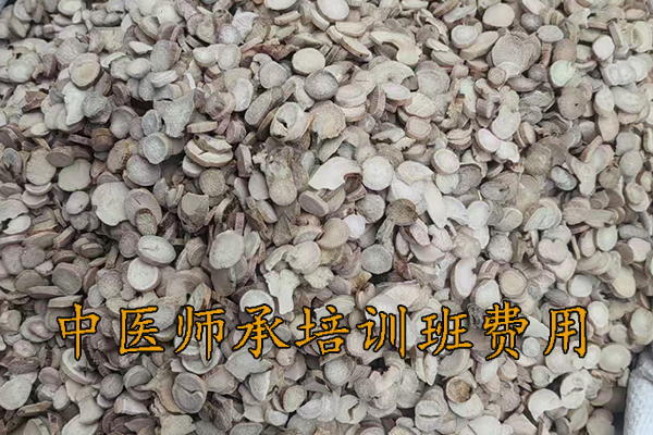 柳州中医师承培训班哪家好