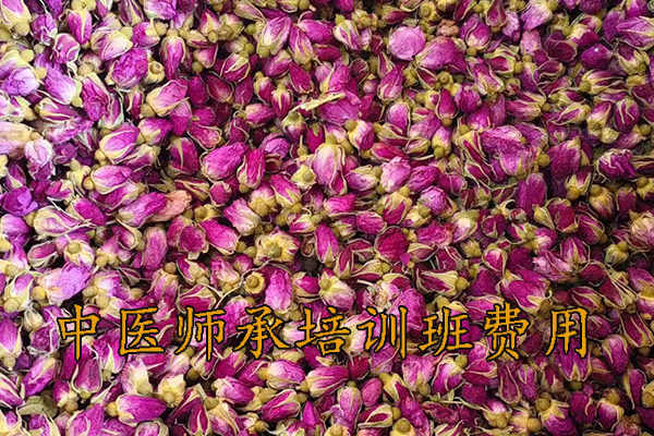 咸阳中医师承培训班招生