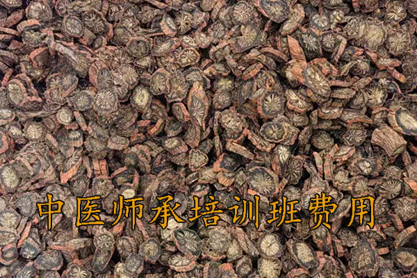 舟山中医师承培训班费用多少