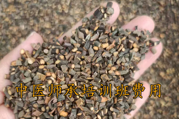 九江中医师承培训班正规机构