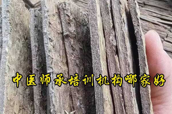 株洲中医师承培训班哪家好