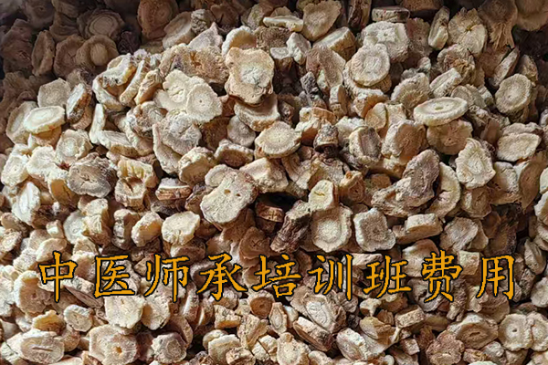 南阳中医师承培训班招生