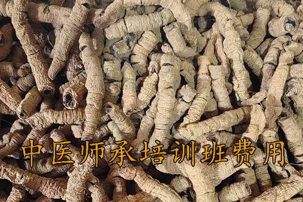 襄阳中医师承培训班正规机构