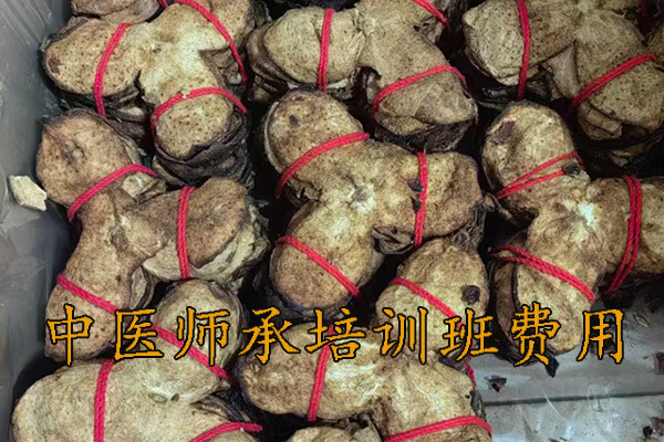 大庆中医师承培训班哪家好