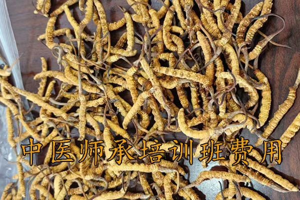 沧州中医师承培训班费用多少