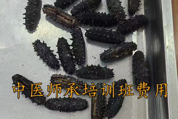 信阳中医师承培训班招生