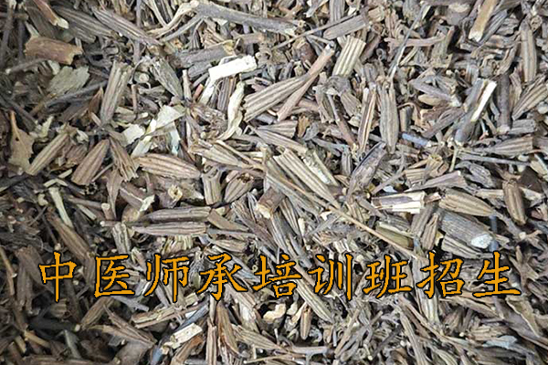 岳阳中医师承培训班正规机构