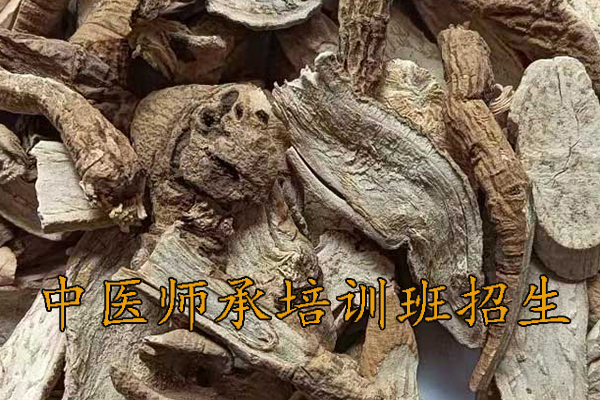 肇庆中医师承培训班费用多少