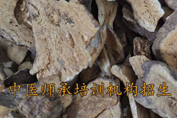 鞍山中医师承培训班哪家好