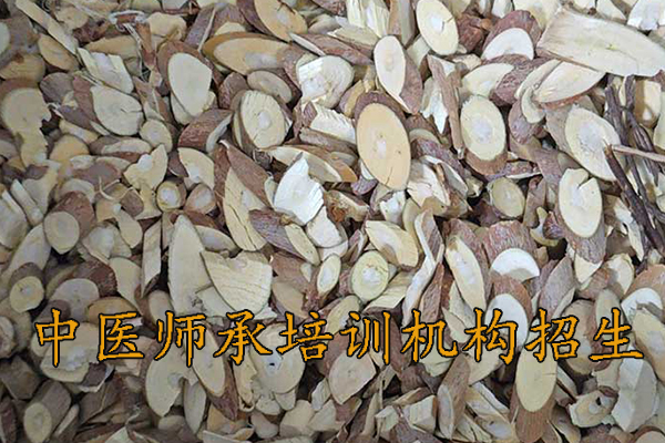 湘潭中医师承培训班费用多少