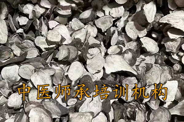 包头中医师承培训班正规机构