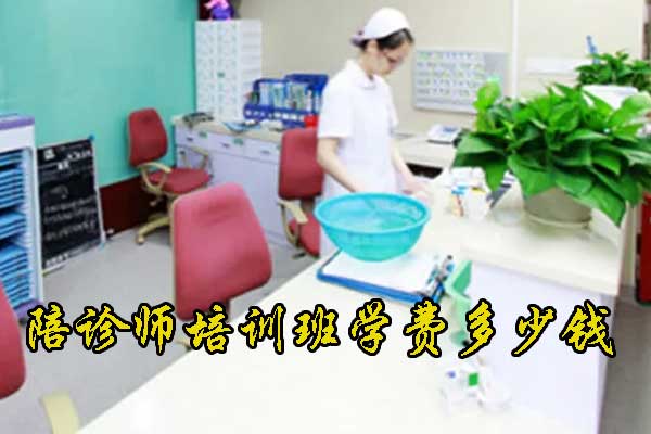 北京陪诊师培训班学费多少钱