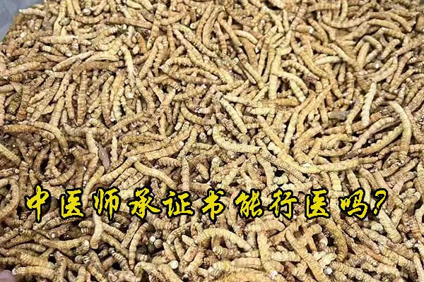 老学员请指导一下，中医师承证书能行医吗？？