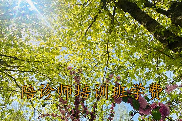 安徽陪诊师培训课程有哪些