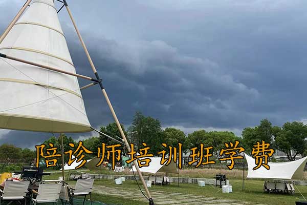 江西陪诊师培训班学费多少钱