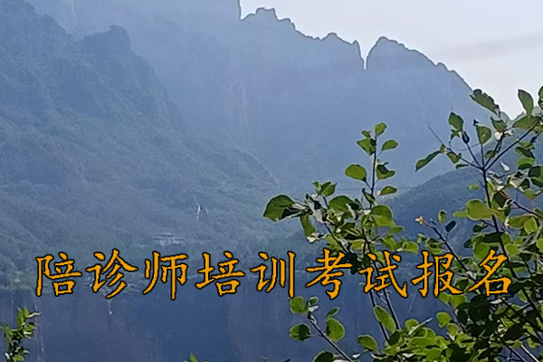 太原陪诊师培训课程有哪些