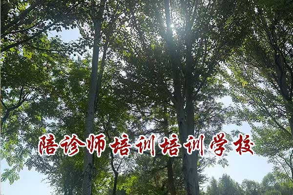 武汉陪诊师培训班学费多少钱