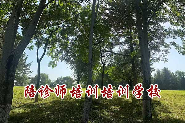 广州陪诊师培训考试报名培训服务