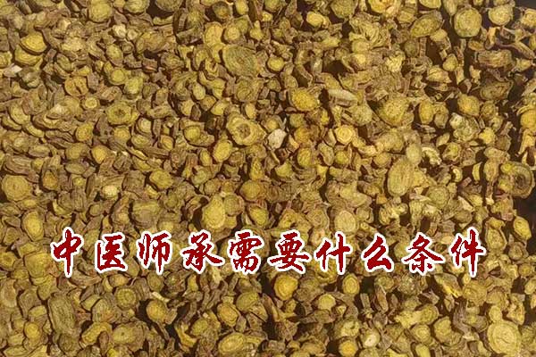 中医师承需要什么条件 - 年龄要求 - 学历要求