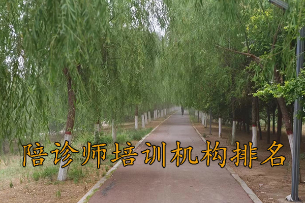 西宁陪诊师培训机构排名前十及费用