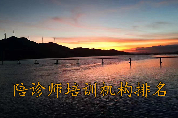 深圳陪诊师培训班学费多少钱