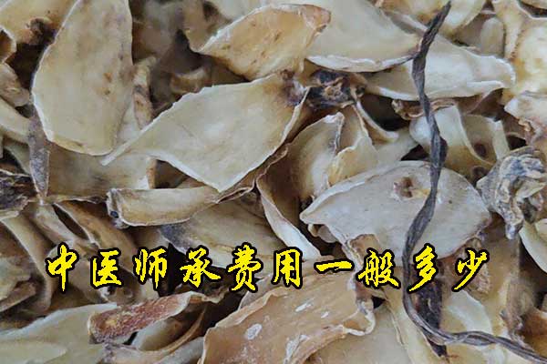 中医师承全部学费一般多少钱（3年/5年师承）