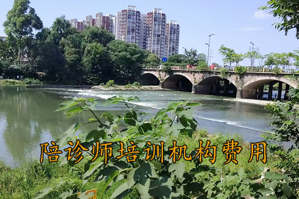 盐城陪诊师培训机构费用多少