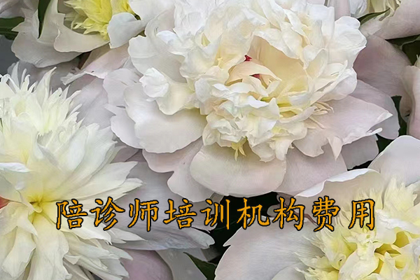 镇江陪诊师培训班学费多少钱