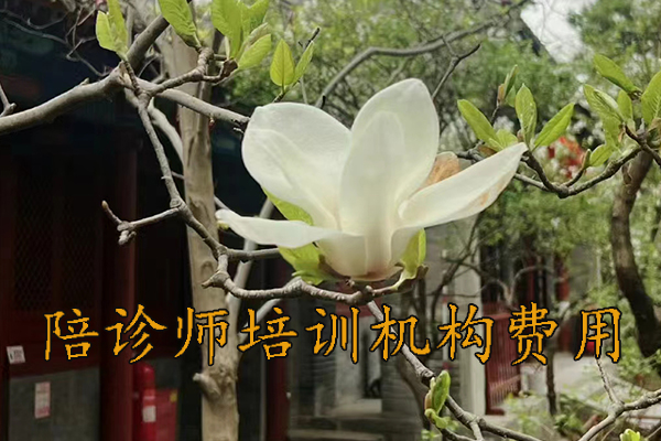 泰州陪诊师培训机构费用多少