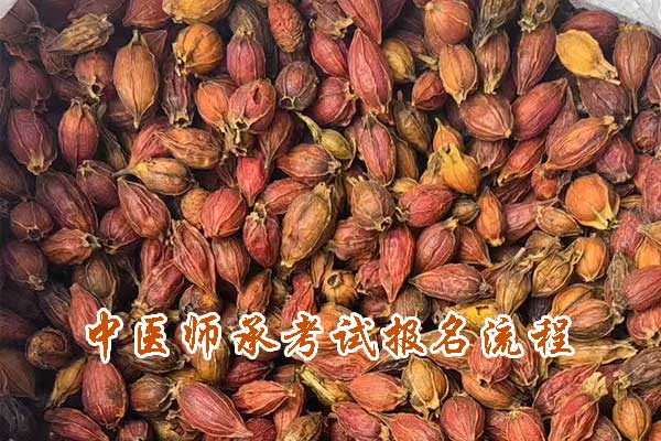 零基础学中医 - 中医师承考试报名流程