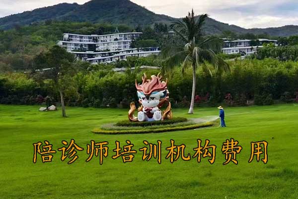 舟山陪诊师培训班学费多少钱