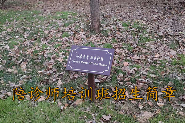 阜阳陪诊师培训费用标准