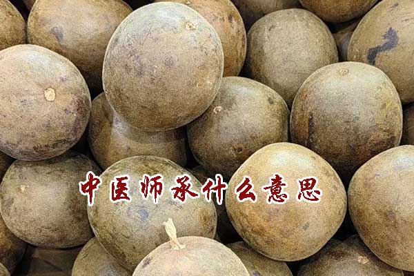 中医师承什么意思