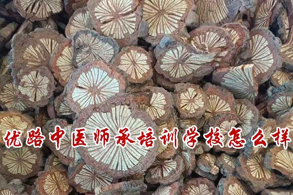 优路中医师承培训机构怎么样