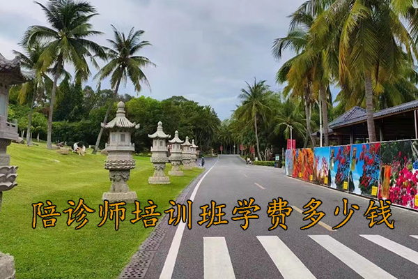 滁州陪诊师培训班招生简章