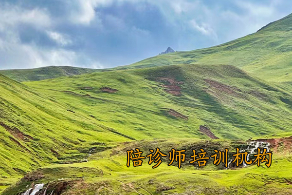 龙岩陪诊师培训机构哪家好