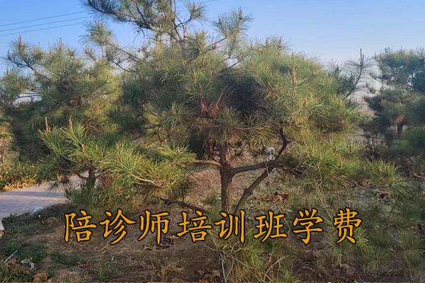 秦皇岛陪诊师培训机构哪家好