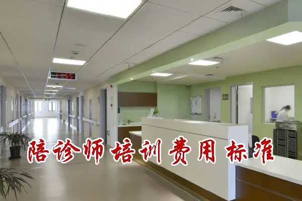 安庆陪诊师培训费用标准