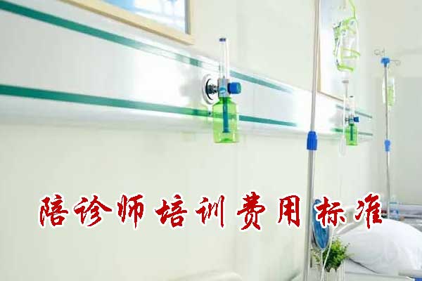 郴州陪诊师培训班学费多少钱