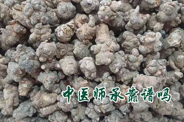 中医师承靠谱吗？学费多少钱？