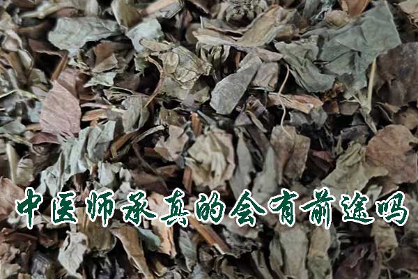 中医师承真的会有前途吗