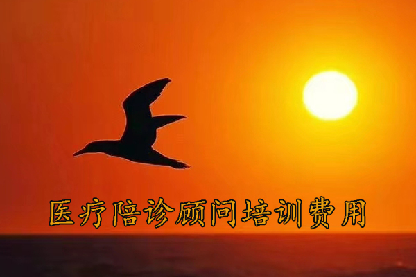 重庆医疗陪诊顾问培训费用