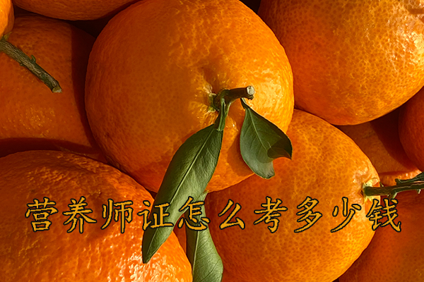 成都营养师证怎么考需要什么条件