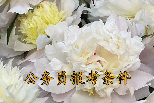 佛山考公务员的要求和条件
